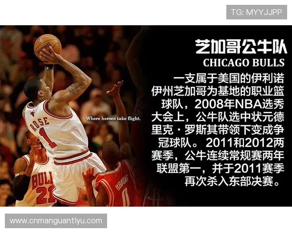 盈和体育会员注册成功后可以享受哪些专属权益和优惠活动